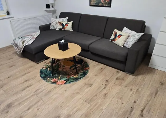 Xela Апартаменты *