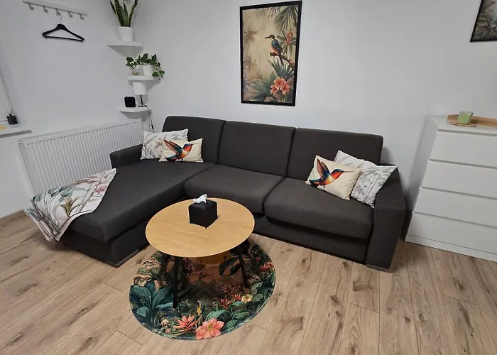 Xela Апартаменты *