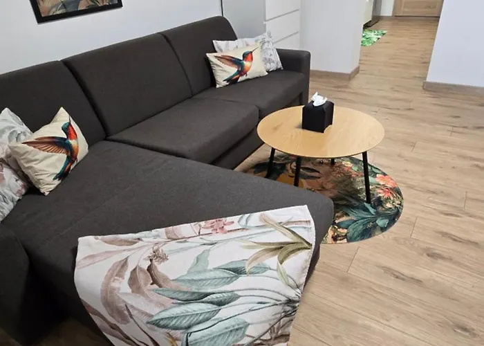 Апартаменты Xela *