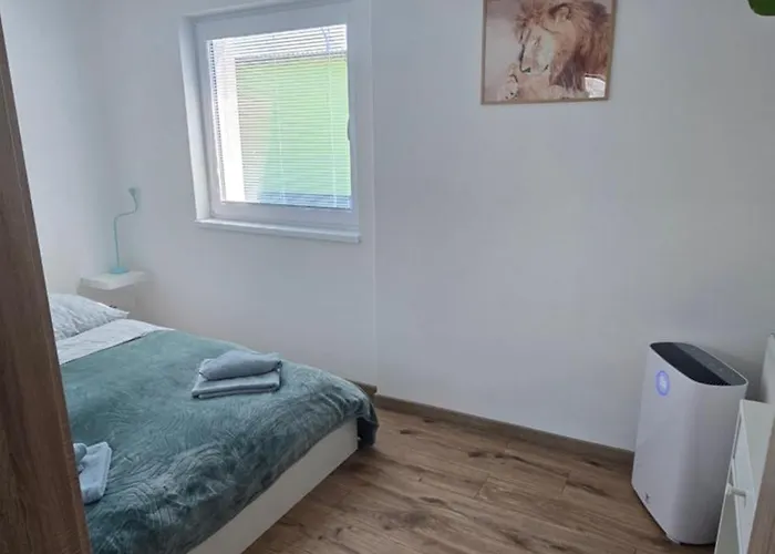 Апартаменты Xela *